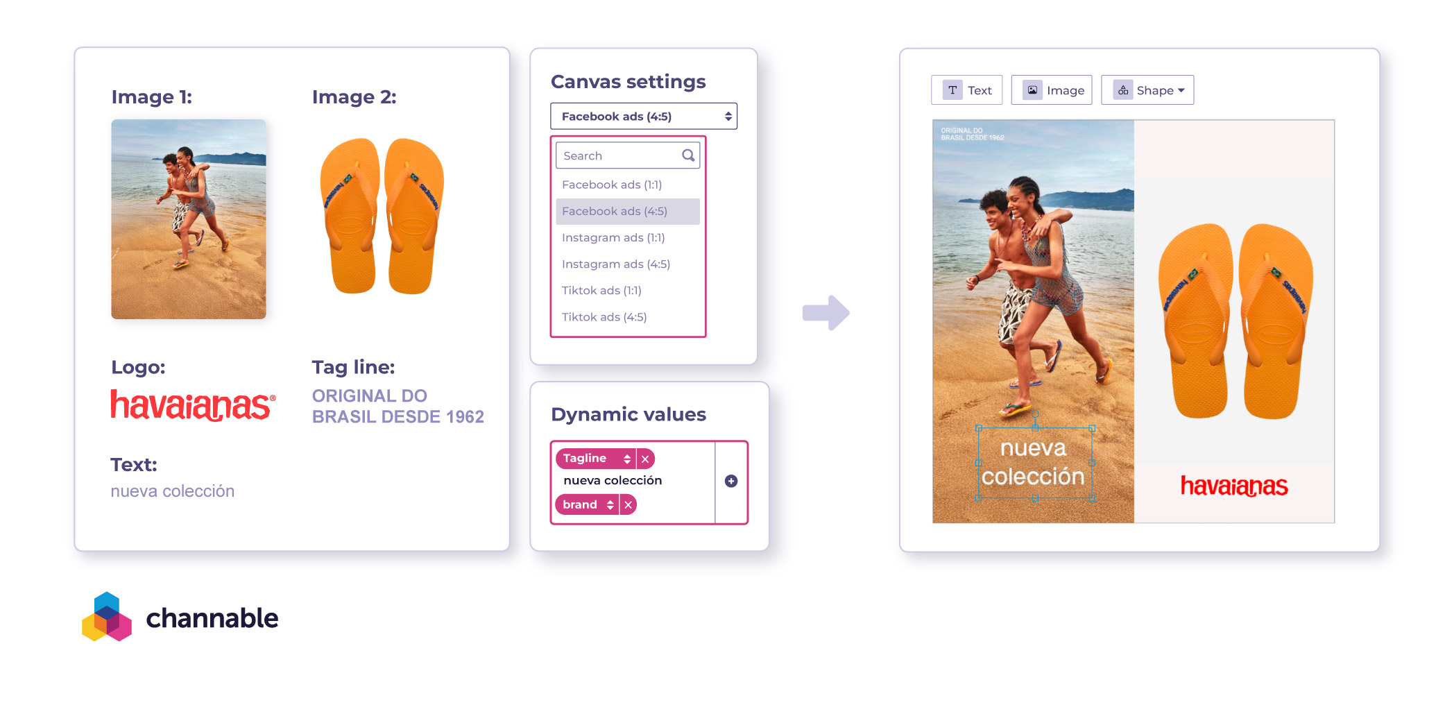 Apache  + Havaianas-05