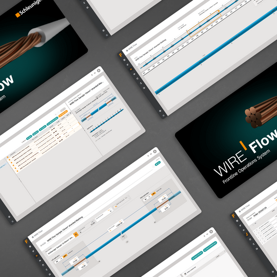WIRE Flow Data Preparation & Process Optimization Schleuniger #1
