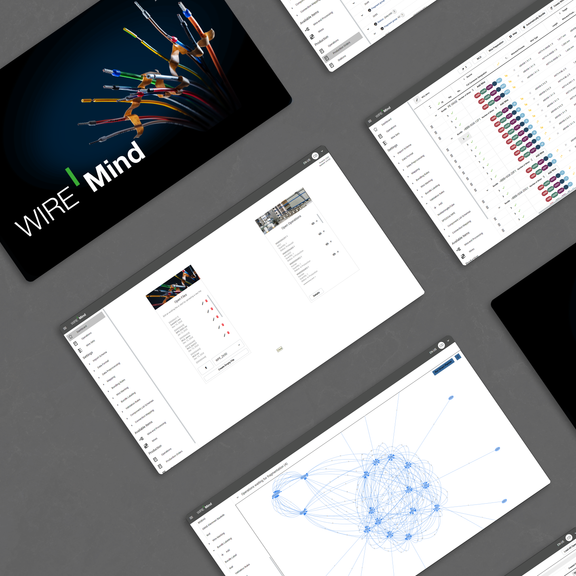 WIRE Mind Preparación de datos y optimización de procesos WUSTEC #1