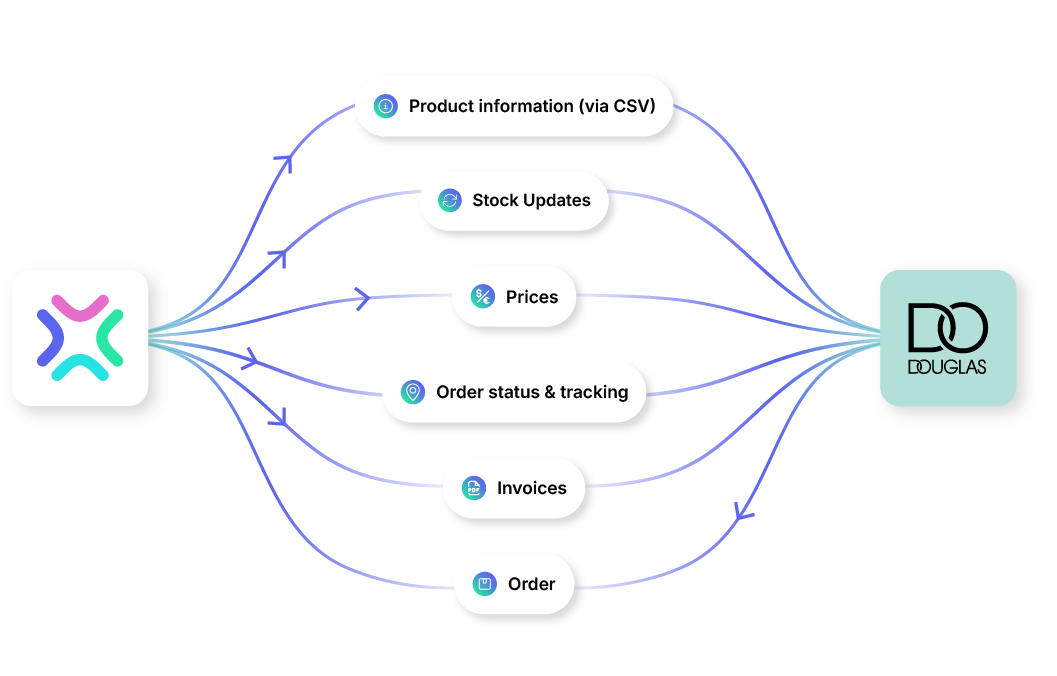 Xentral Douglas Marketplace Integration explained