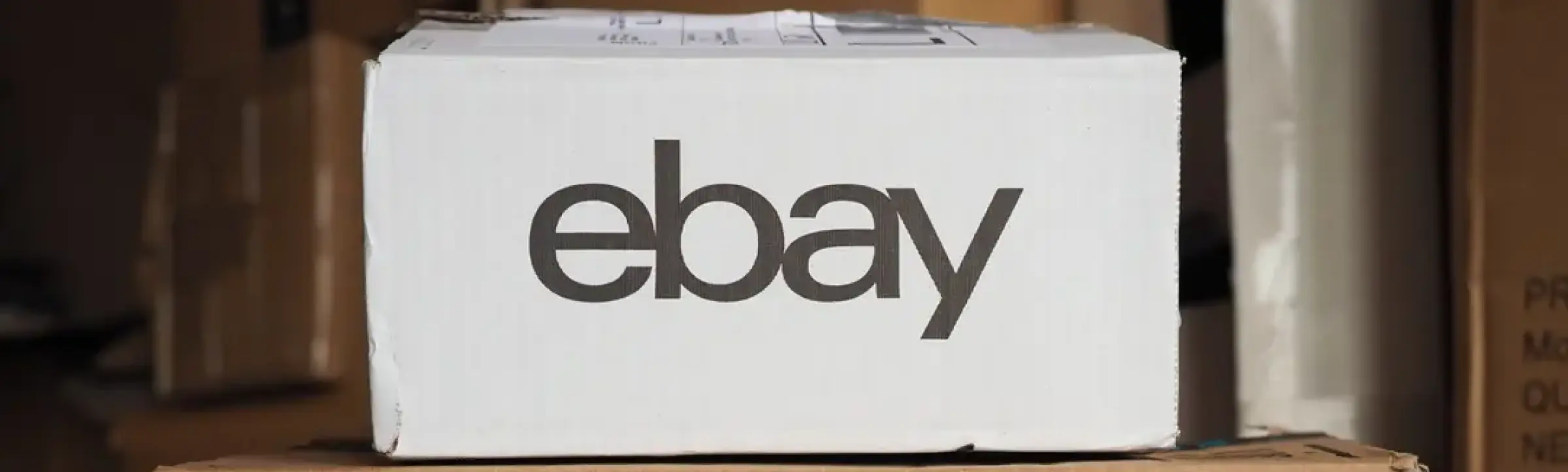Amazon vs. eBay: Welche Plattform ist die beste für dein Business?