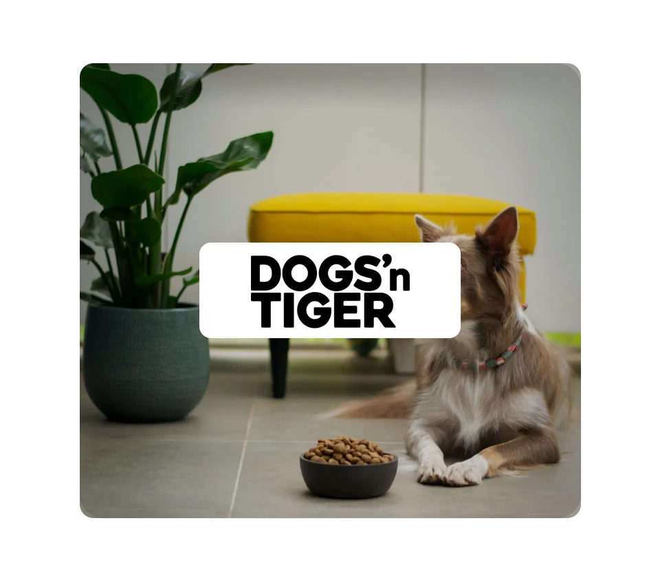 ERP for pet food: A dog lying on a light-colored tiled floor next to a dark bowl filled with dry kibble. A yellow ottoman and a houseplant are in the background, with the "DOGS’n TIGER" logo displayed prominently in the center.