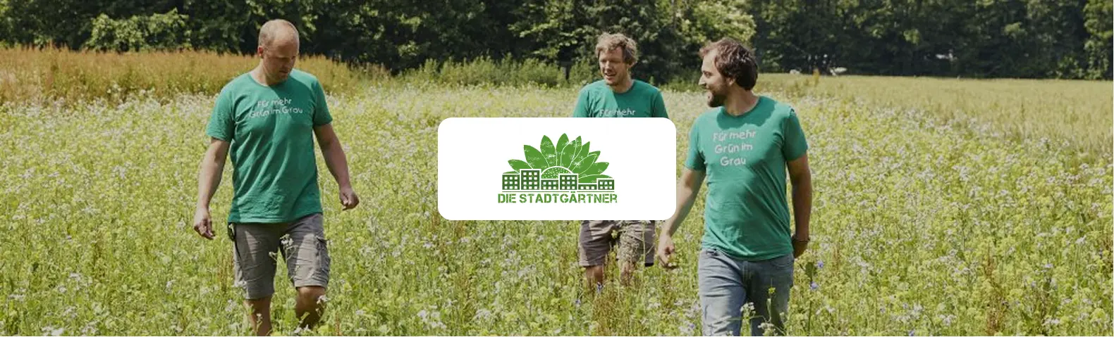 Drei Gründer der Stadtgärtner in grünen T-Shirts mit dem Slogan "Für mehr Grün im Grau" laufen durch eine blühende Wildblumenwiese. In der Bildmitte das Logo "Die Stadtgärtner".